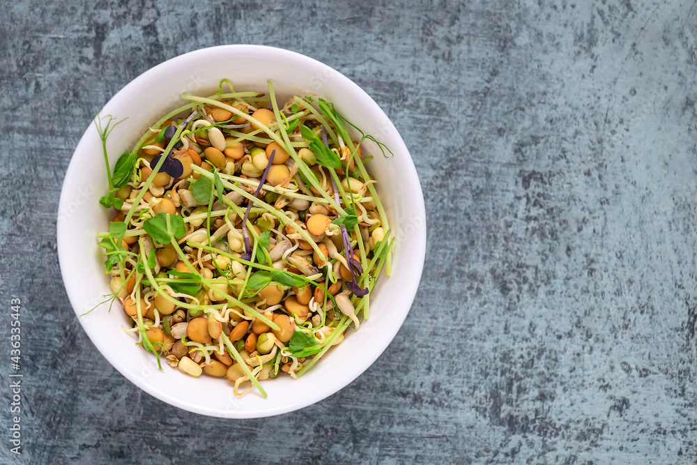 Mixed salad of sprouted grains and microgreens in a bowl Mixed salad of sprouted grains and microgreens in a bowl