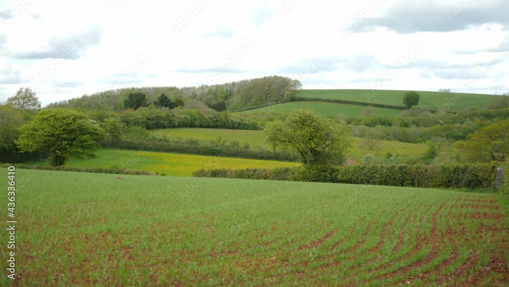 Looking out over fields in Torquay, Devon, England