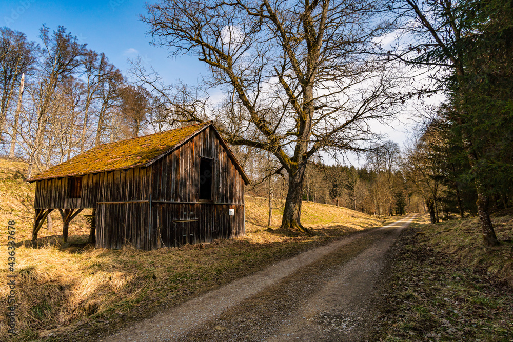 Spring hike through the Josefslust wildlife park near Sigmaringen Spring hike through the Josefslust wildlife park near Sigmaringen