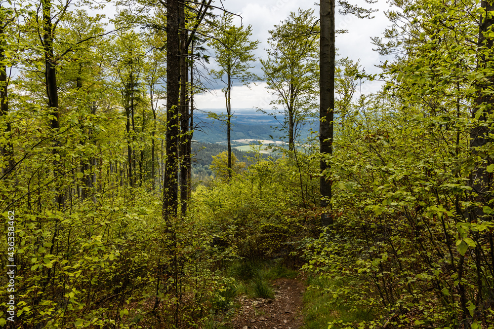 Long mountain trail in forest in Walbrzych Mountains at cloudy day Long mountain trail in forest in Walbrzych Mountains at cloudy day