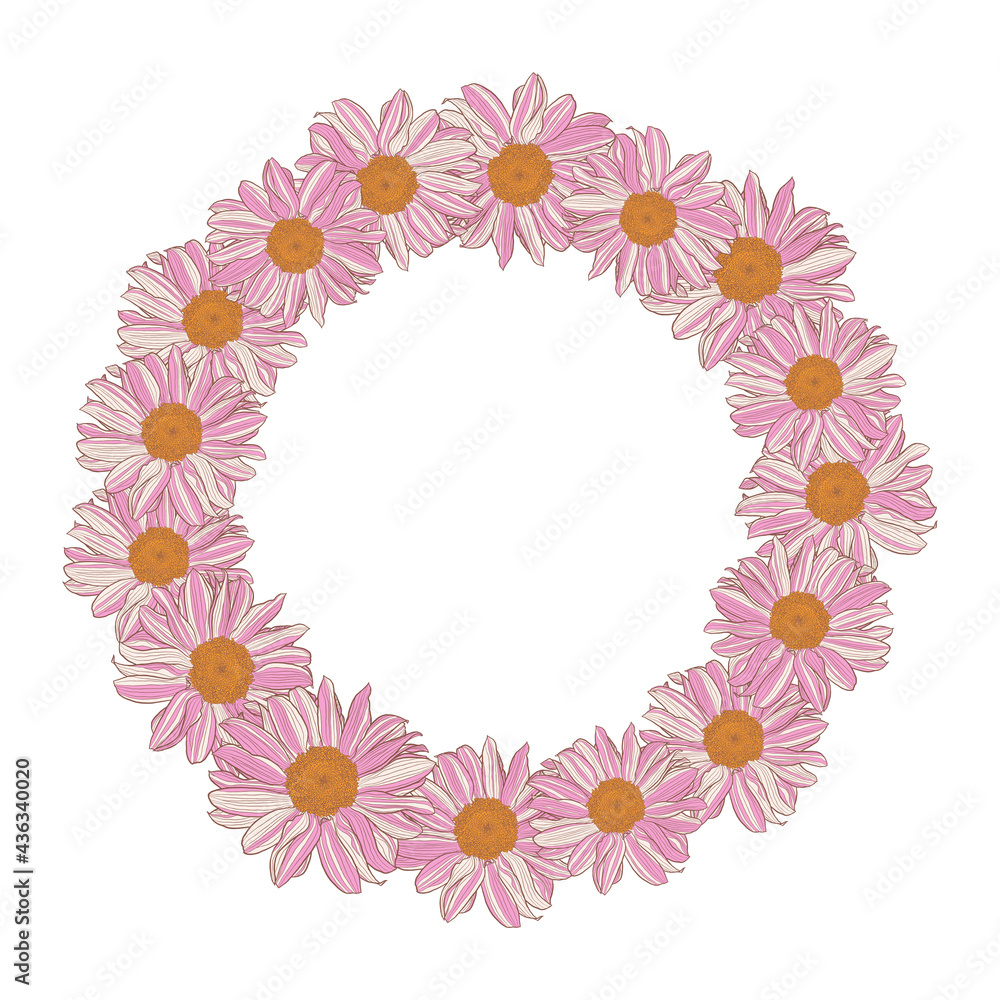 Floral wreath of white-pink-yellow daisies on white background. Vector illustration element with copy space, can be used for greeting cards, invitations, wedding, birthday, easter, packaging design.