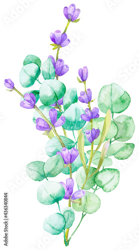 A bouquet of green eucalyptus leaves and lilac lavender. Watercolor illustration © babanova