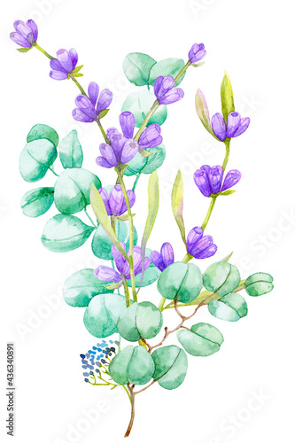 A bouquet of green eucalyptus leaves and lilac lavender. Watercolor illustration