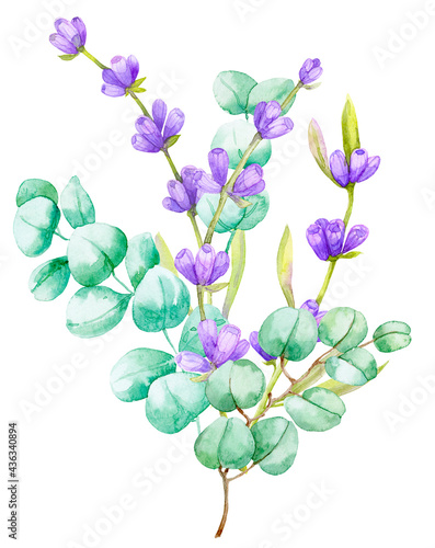 A bouquet of green eucalyptus leaves and lilac lavender. Watercolor illustration