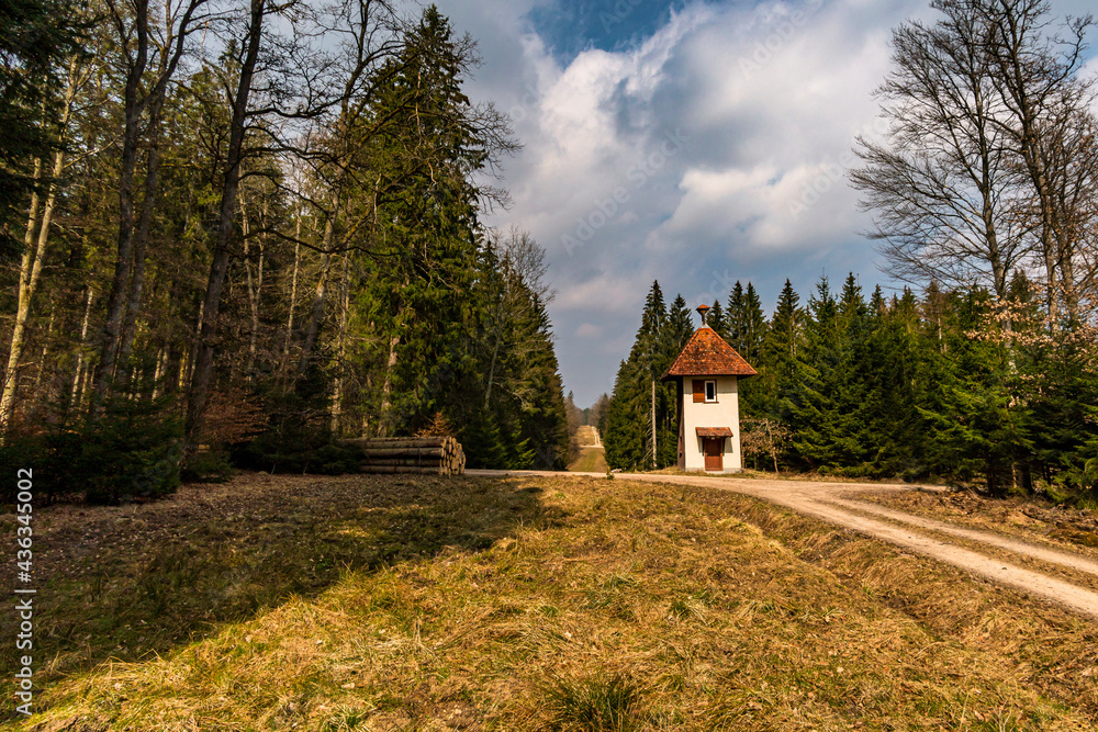 Spring hike through the Josefslust wildlife park near Sigmaringen Spring hike through the Josefslust wildlife park near Sigmaringen