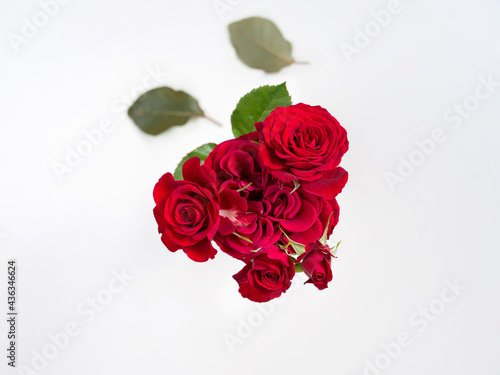 Background with red petal roses 