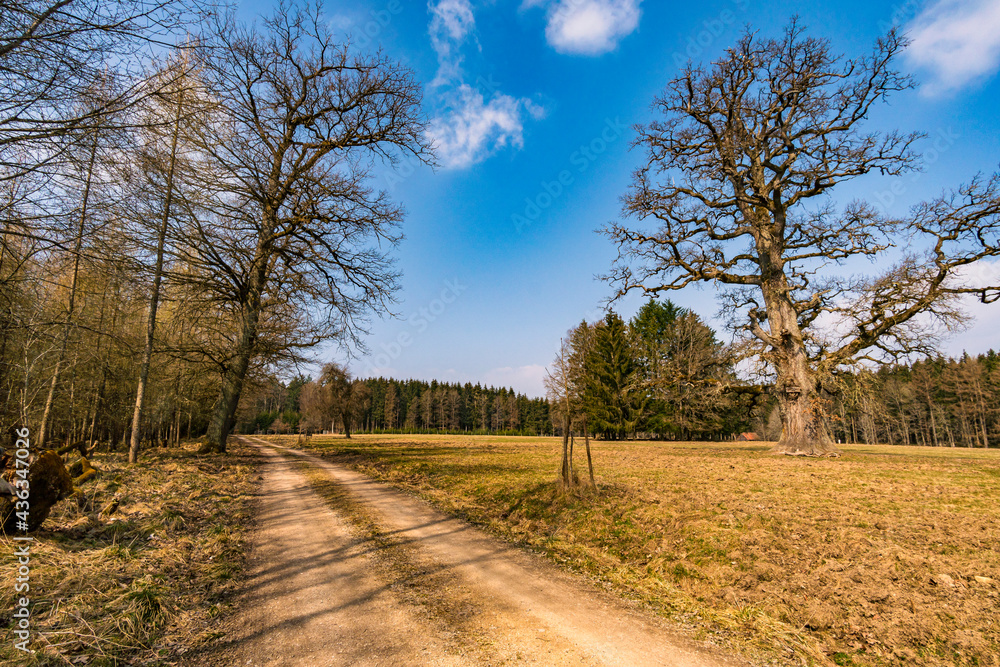 Spring hike through the Josefslust wildlife park near Sigmaringen Spring hike through the Josefslust wildlife park near Sigmaringen