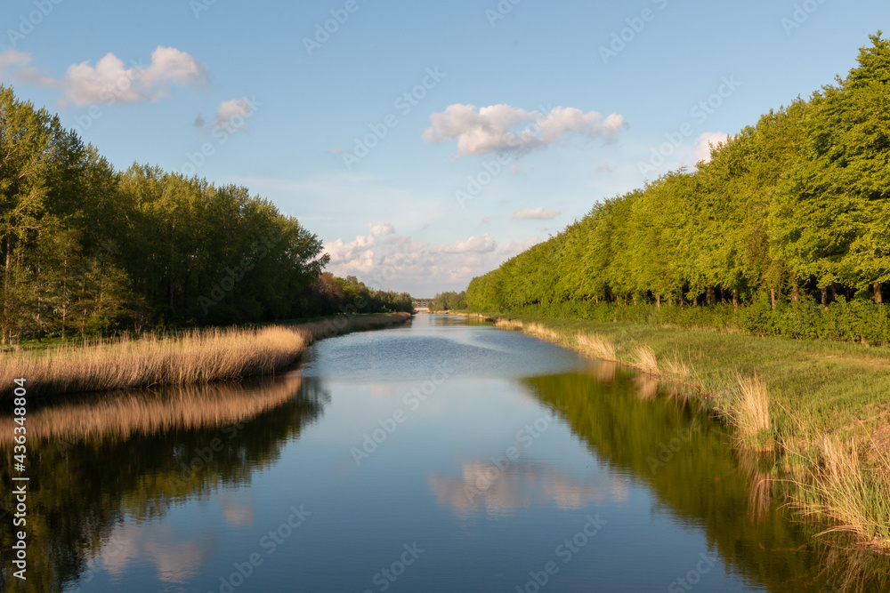 A beautiful waterway through a Dutch forest A beautiful waterway through a Dutch forest