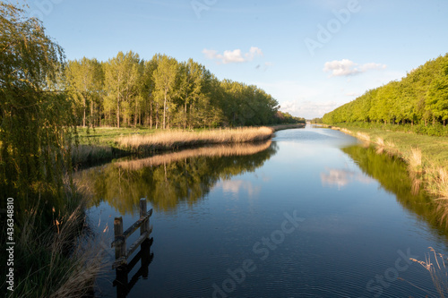 A beautiful waterway through a Dutch forest