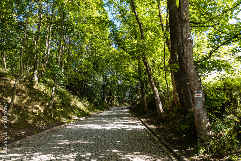 Long mountain trail in forest in Walbrzych Mountains at cloudy day