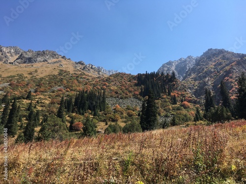 autumn in the mountains