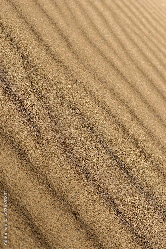 Sand structure on the dune surface, selective focus. Close-up. Sand structure on the dune surface, selective focus. Close-up.