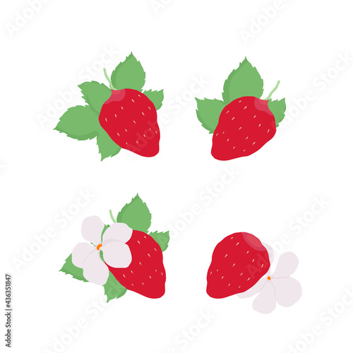 Fototapeta Naklejka Na Ścianę i Meble -  Vector strawberries. Strawberry flowers and leaves. Outline vector illustration on a white background. 