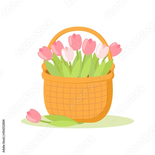 A basket of tulips vector illustration on white background