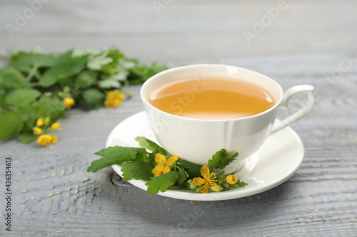 Cup of aromatic celandine tea and flowers on grey wooden table, closeup