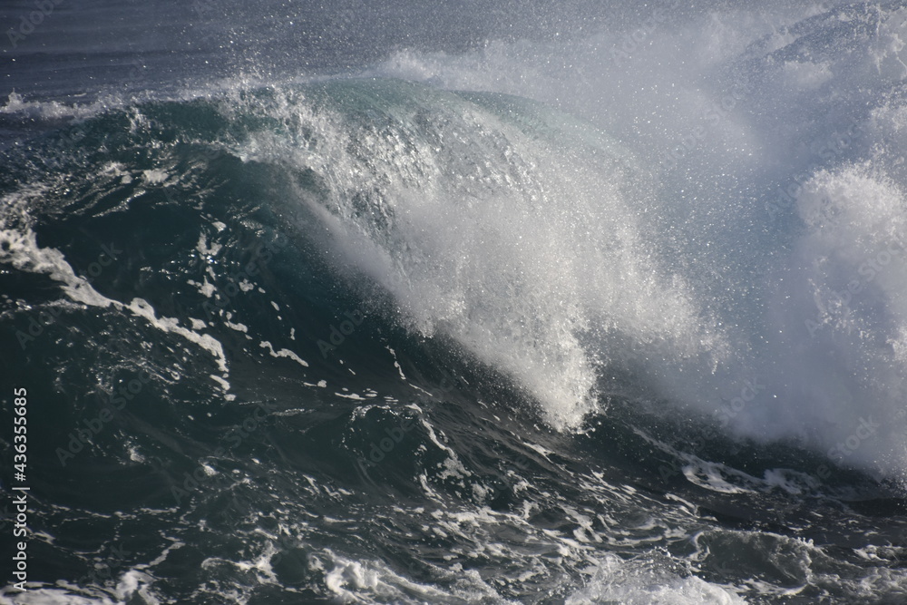 the perfect wave and tube for surfing