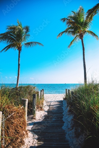 Two Florida palm trees at the entrance to the beach with ocean view