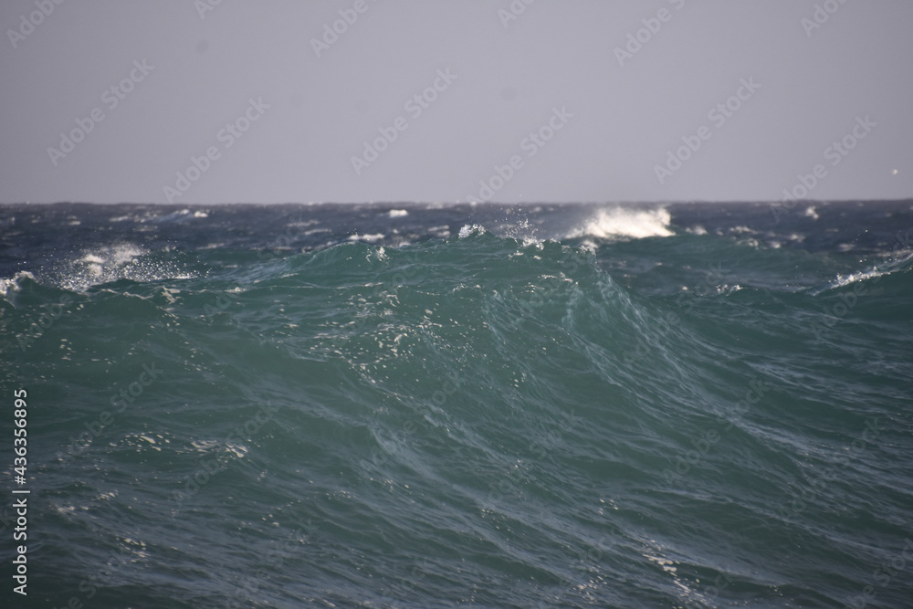 the perfect wave and tube for surfing