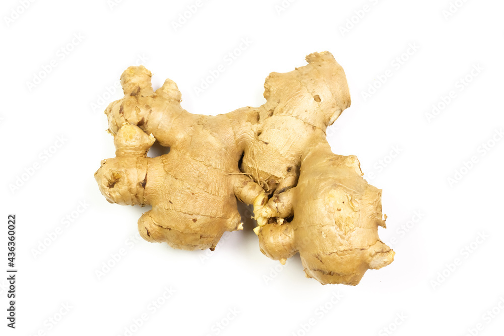 Fresh ginger rhizome isolated on white background. Fresh ginger rhizome isolated on white background.