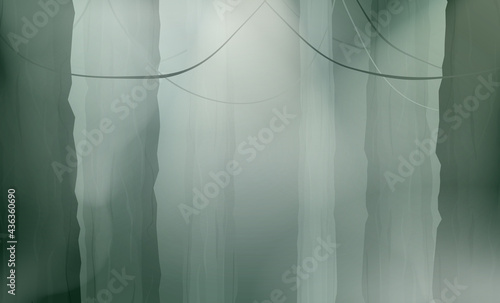 Vector rainforest jungle background. Cartoon style. Vector.