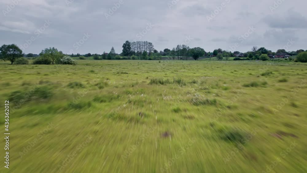 Aerial view to green spring landscape with meadow Aerial view to green spring landscape with meadow