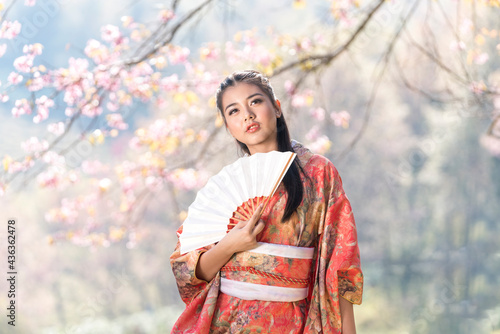 Cherry blossoms and Asian woman wearing kimono. Beautiful girl wearing traditional Japanese kimono with cherry blossom, Japan.