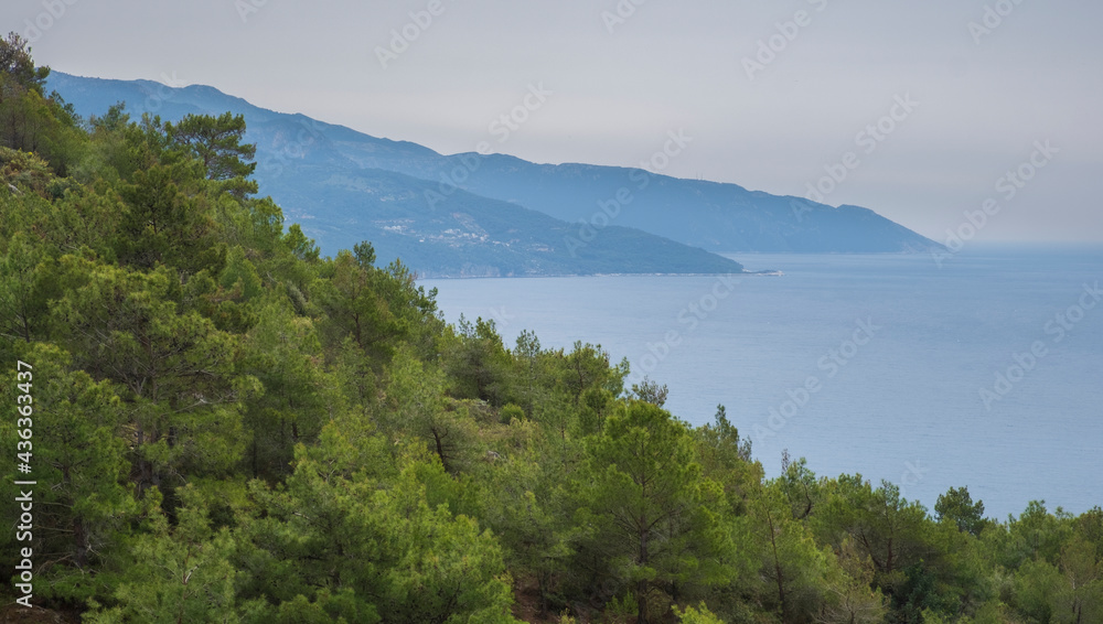 Mountain slopes with pine forest against the background of the Mediterranean sea in Turkey