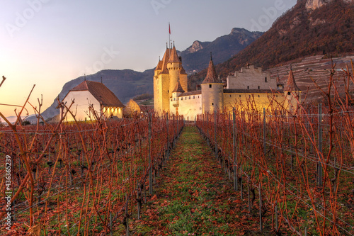 Chateau d'Aigle in autumn, Switzerland