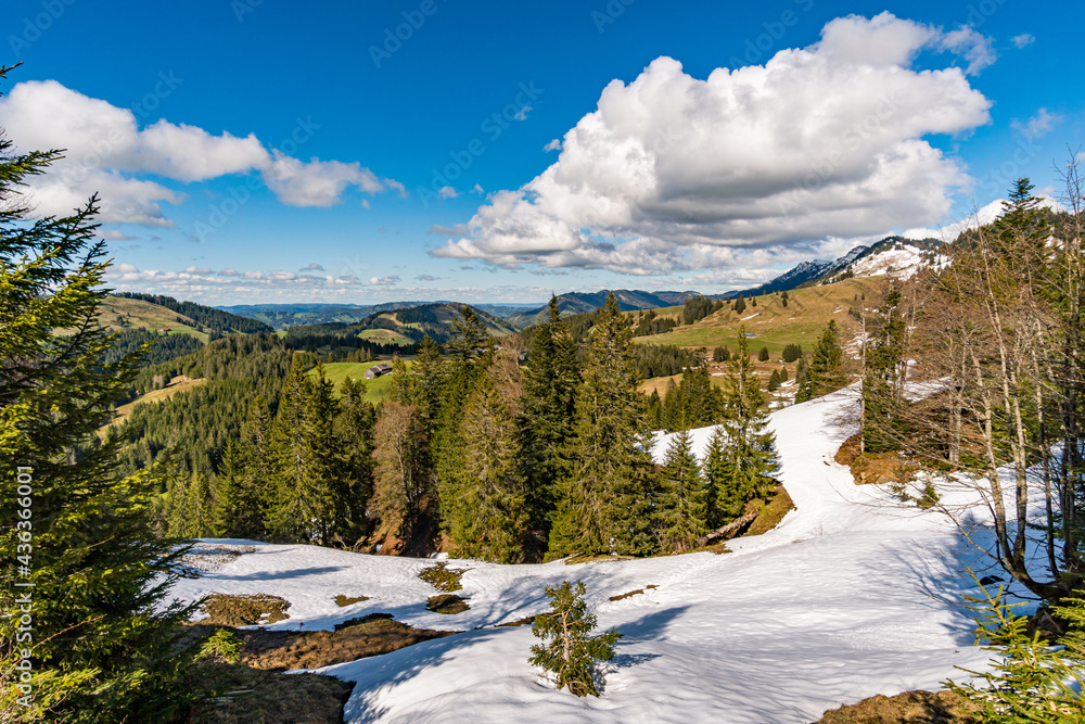 Mountain tour along the Alpenfreiheit premium trail near Oberstaufen Mountain tour along the Alpenfreiheit premium trail near Oberstaufen