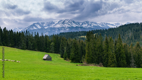 A beautiful panorama of the entire range of the Tatra Mountains. Poland