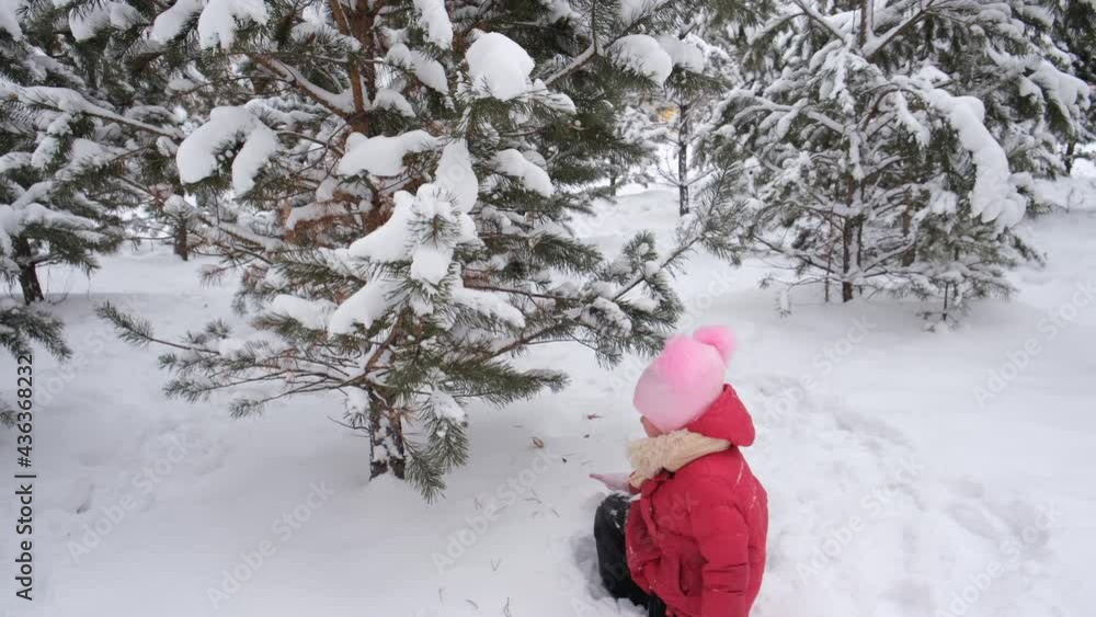 child playing in the park on winter day having fun jumping and wallowing in the snow, shakes off snow from branches, winter active games outdoors child playing in the park on winter day having fun jumping and wallowing in the snow, shakes off snow from branches, winter active games outdoors