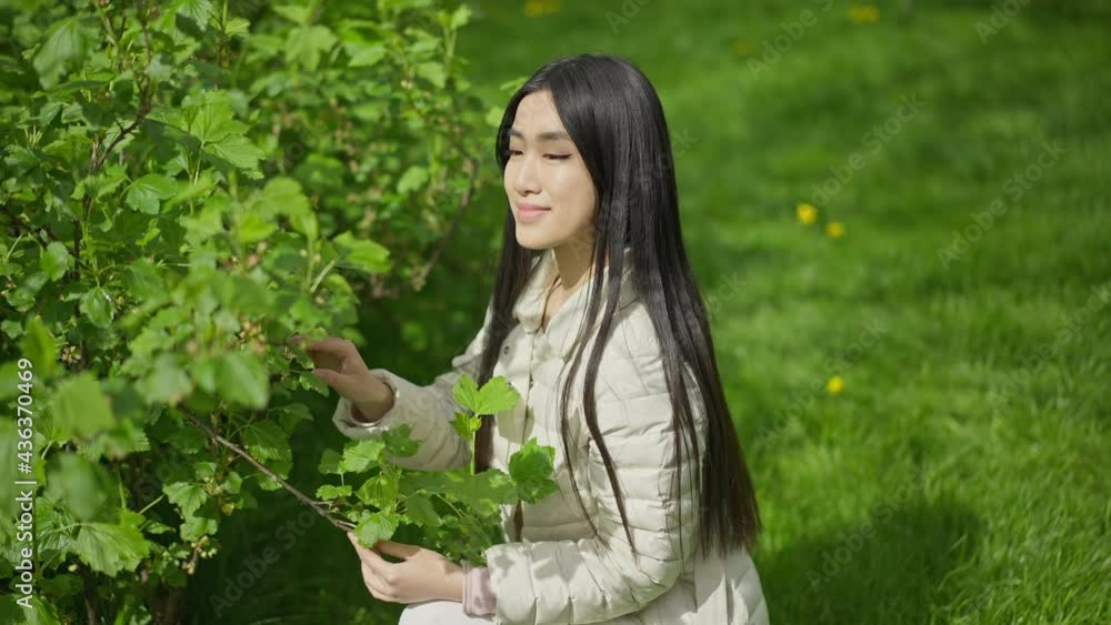 Middle shot side view of smiling young Asian woman touching green leaves on tree branch sitting on squat on green lawn. Happy gardener admiring beauty in nature outdoors on sunny day Middle shot side view of smiling young Asian woman touching green leaves on tree branch sitting on squat on green lawn. Happy gardener admiring beauty in nature outdoors on sunny day