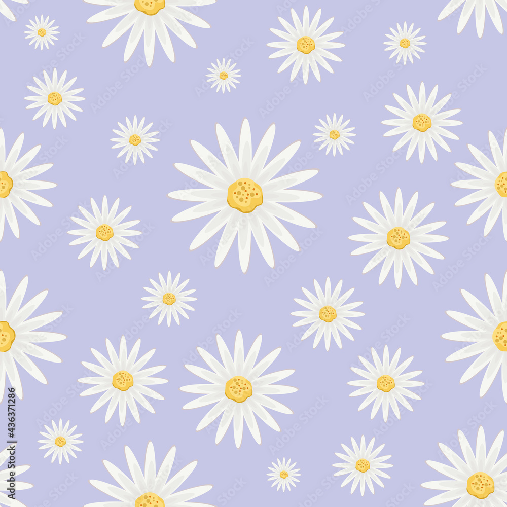 pattern with flowers of daisy pattern with flowers of daisy