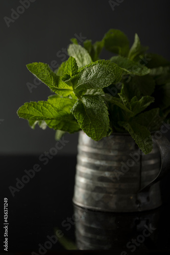 Bunch of fresh mint in iron cup.