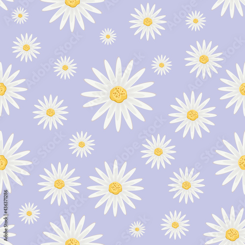pattern with flowers of daisy