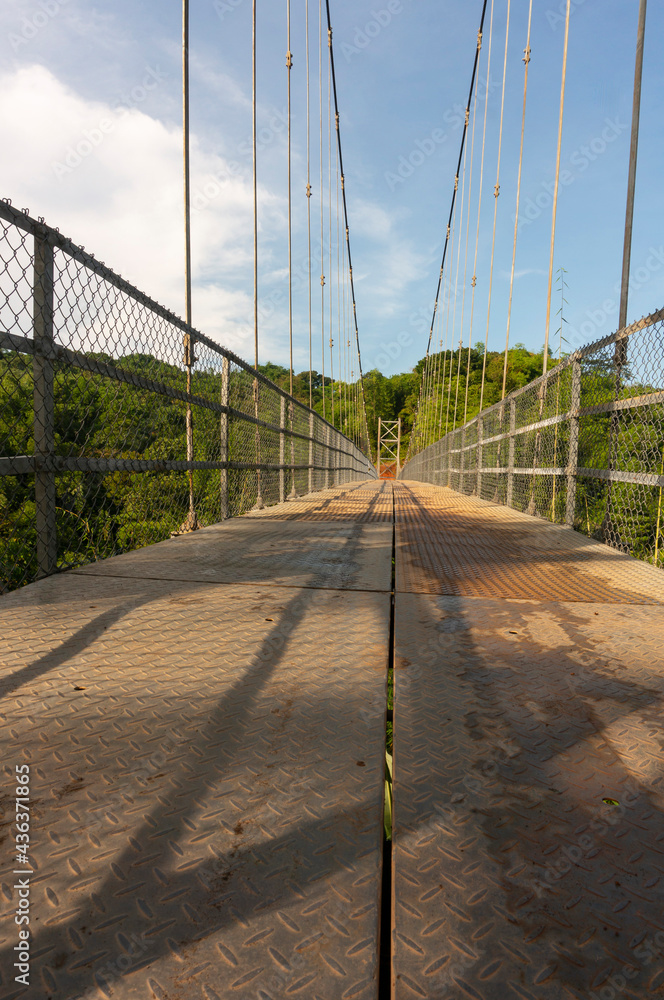 Suspension bridge with views of green forest and blue sky
