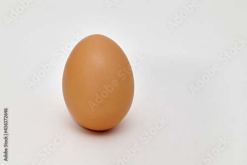 Single chicken egg on a white background