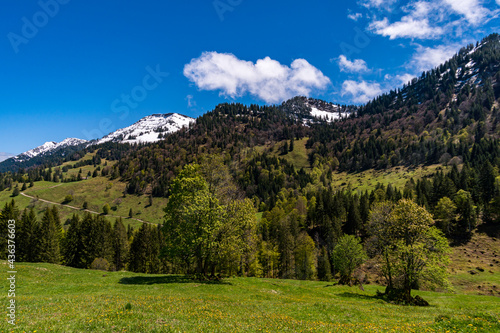 Mountain tour along the Alpenfreiheit premium trail near Oberstaufen