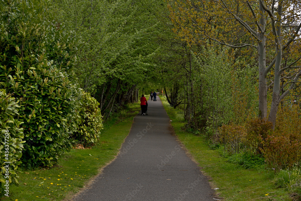 People walking along a path surrounded by green trees People walking along a path surrounded by green trees