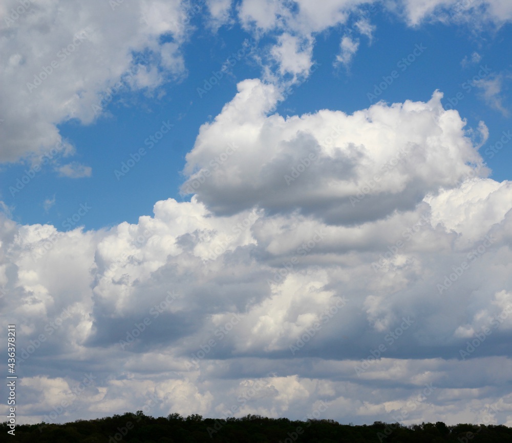 The cloudscape over the trees in the woods
