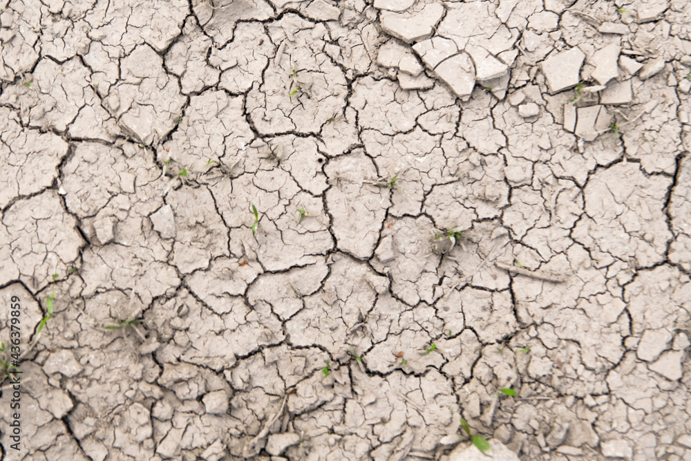 soil erosion. cracks in the ground due to drought. environmental problems soil erosion. cracks in the ground due to drought. environmental problems