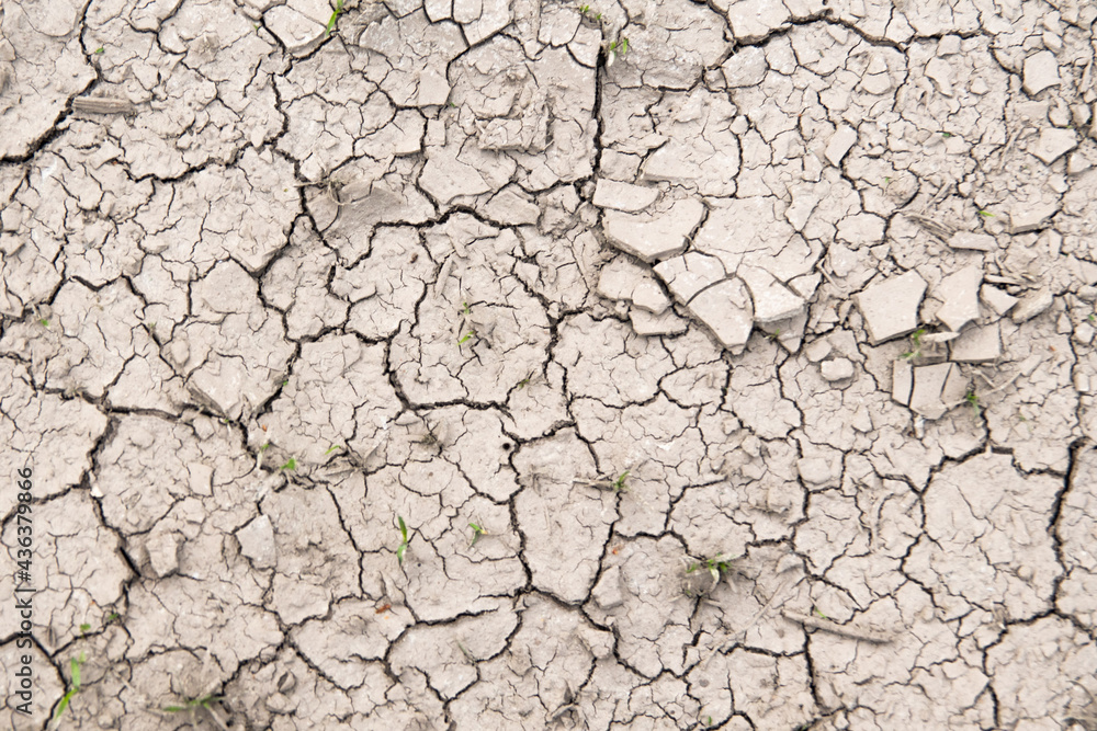 soil erosion. cracks in the ground due to drought. environmental problems soil erosion. cracks in the ground due to drought. environmental problems