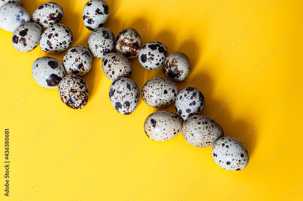 quail eggs on yellow