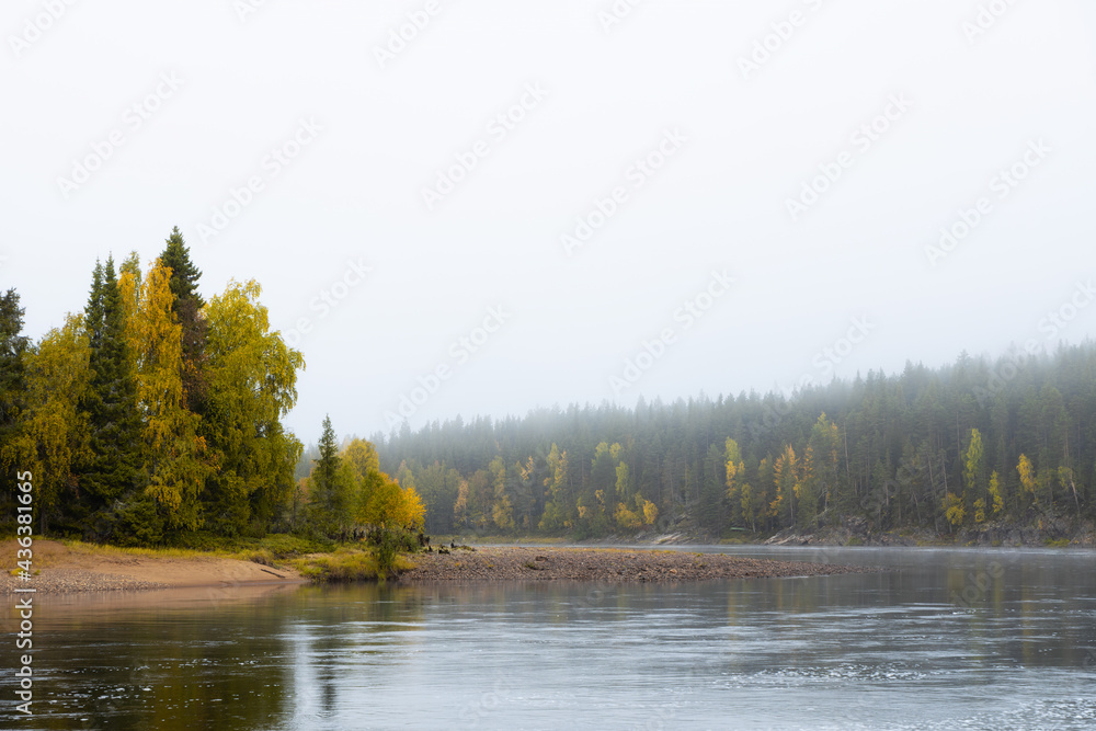 Fototapeta premium Autumn misty morning. River and colorful forest. Lapland, Scandinavia