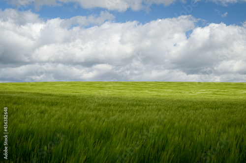 green field and blue sky © Stefan Zimmer 