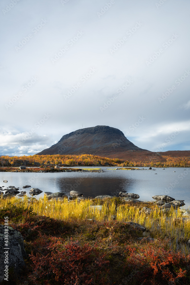 Beautiful autumn landscape with spectacular mountain lake and colorful yellow larches in Lapland, Kilpisjarvi