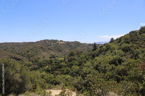 Beautiful Landscape over the Forest on a Sunny day with a Blue Sky in Cupertino California
