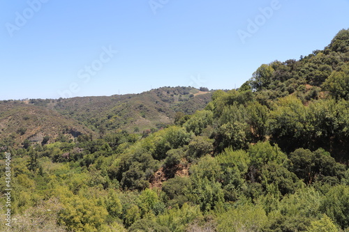 Beautiful Landscape over the Forest on a Sunny day with a Blue Sky in Cupertino California
