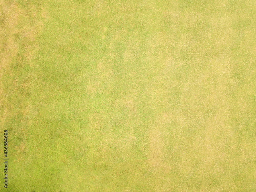 Fototapeta premium Overhead grass shot. Artificial texture. Grass texture. Drone grass shot.