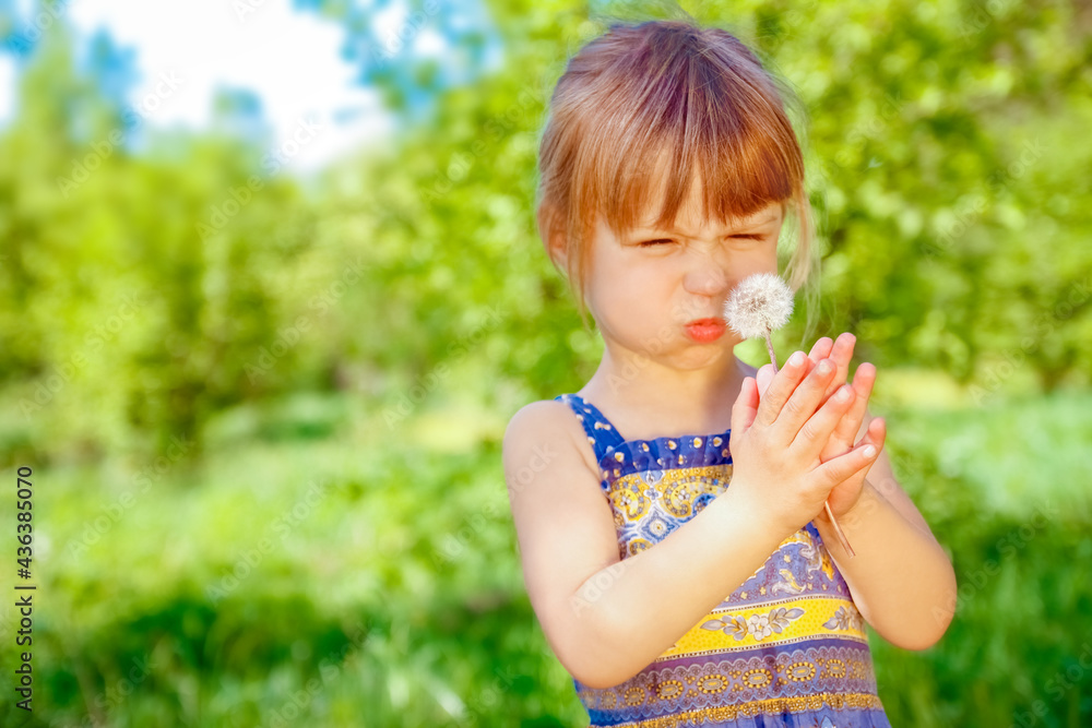 happy child blowing dandelion on nature in the park happy child blowing dandelion on nature in the park